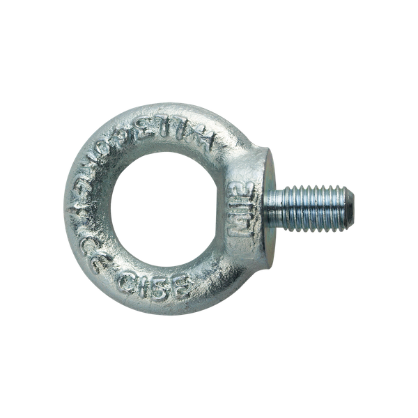 Oogbout DIN 580 EV M6 - 25 stuks