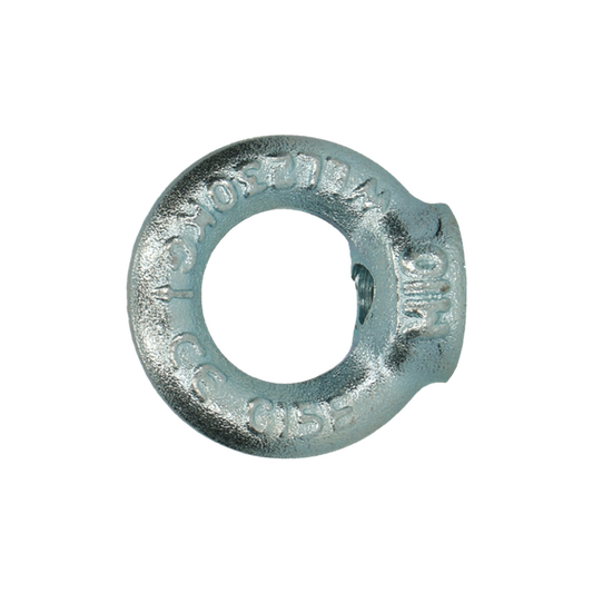 Oogmoer DIN 582 EV M6 - 25 stuks